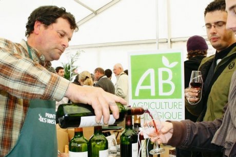 dégustation de vins biologiques du Pouyau de Boisset